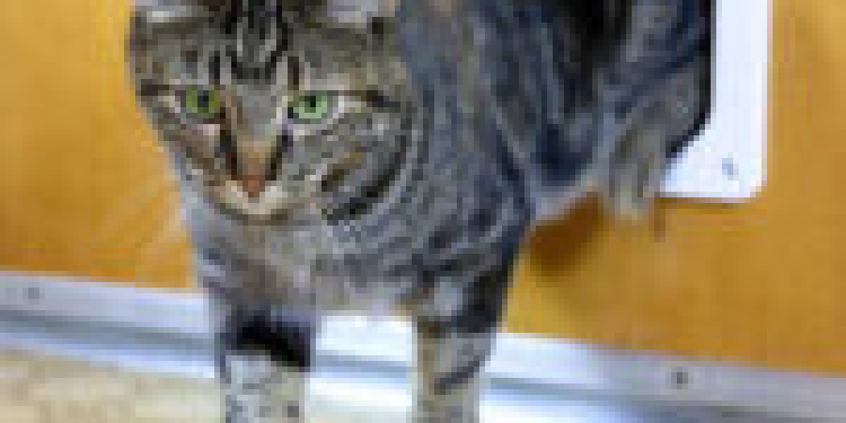 8 Tips For Boosting Your Cat Flap Fitting Game