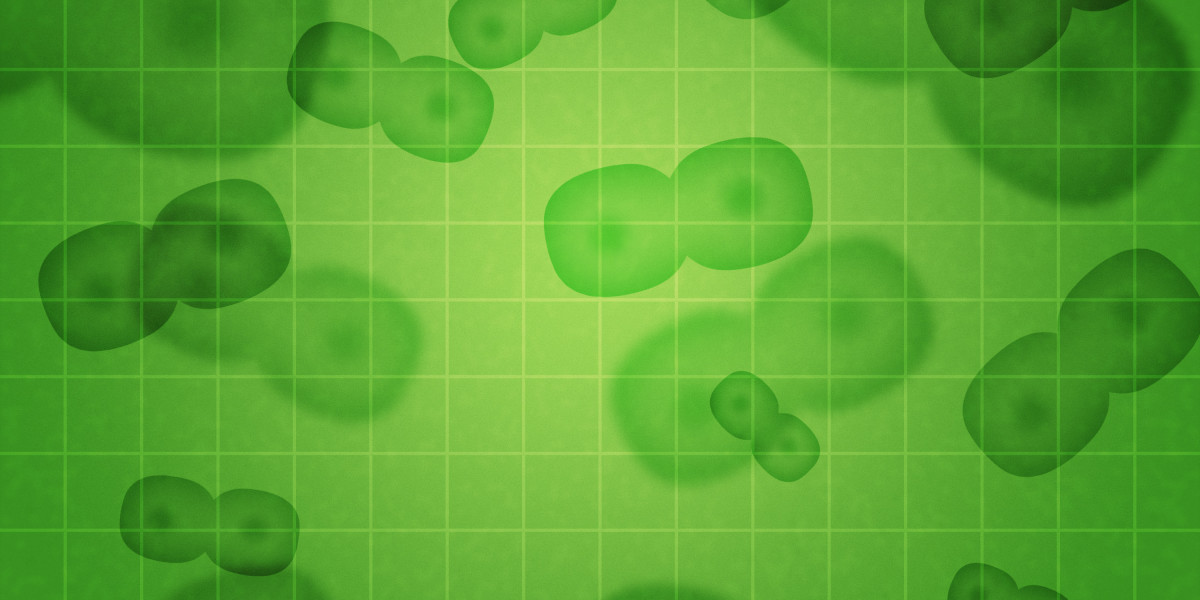 Top Gold IRA Companies: A Complete Guide to Investing In Precious Metals