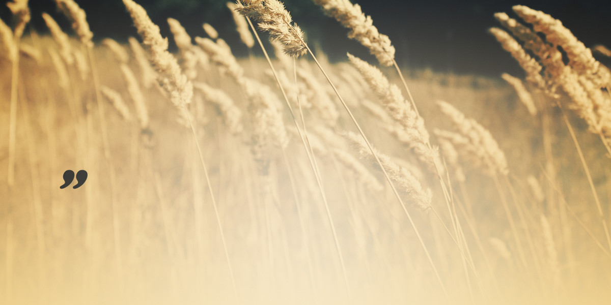 Case Research: The Panorama of Gold And Silver IRA Companies