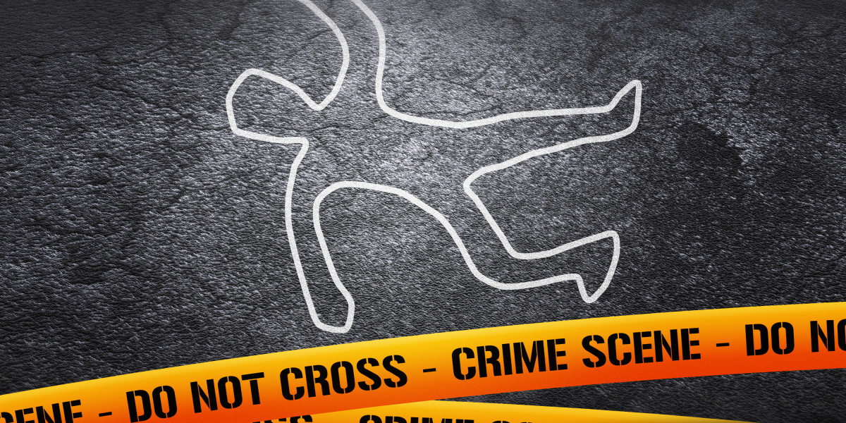 Investing in Stability: A Complete Case Research on The Best Gold IRA Choices