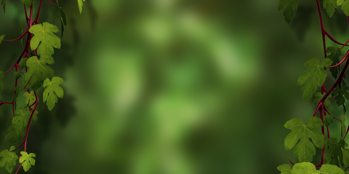 Best Gold IRA Companies of 2020: A Comprehensive Guide