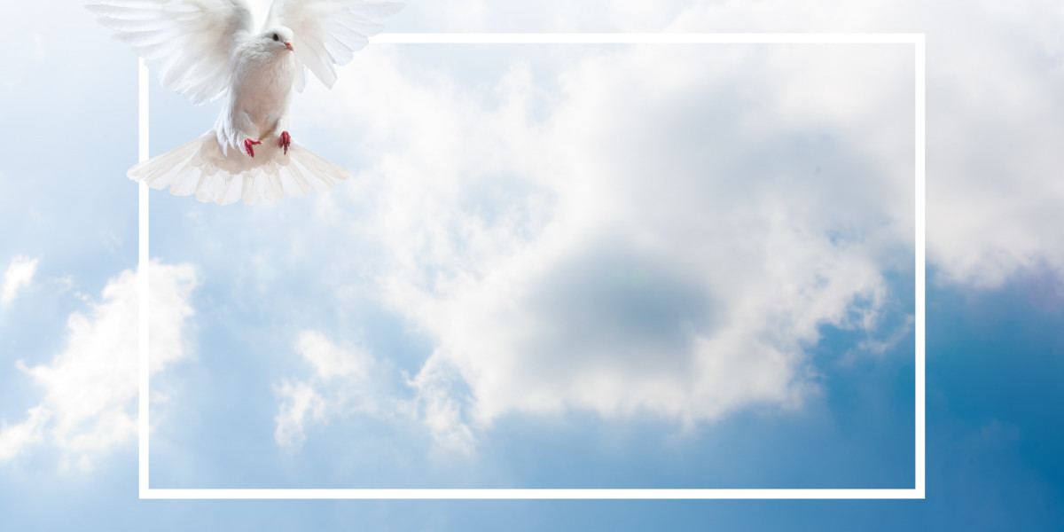 Personal Loans for Bad Credit on Centrelink: Navigating Your Options in 2023