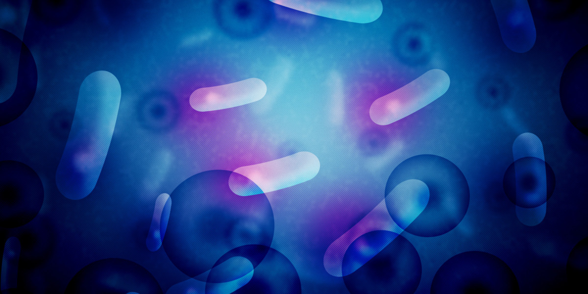 The Rise of Sugar Daddy Websites in London: A Modern Dating Phenomenon